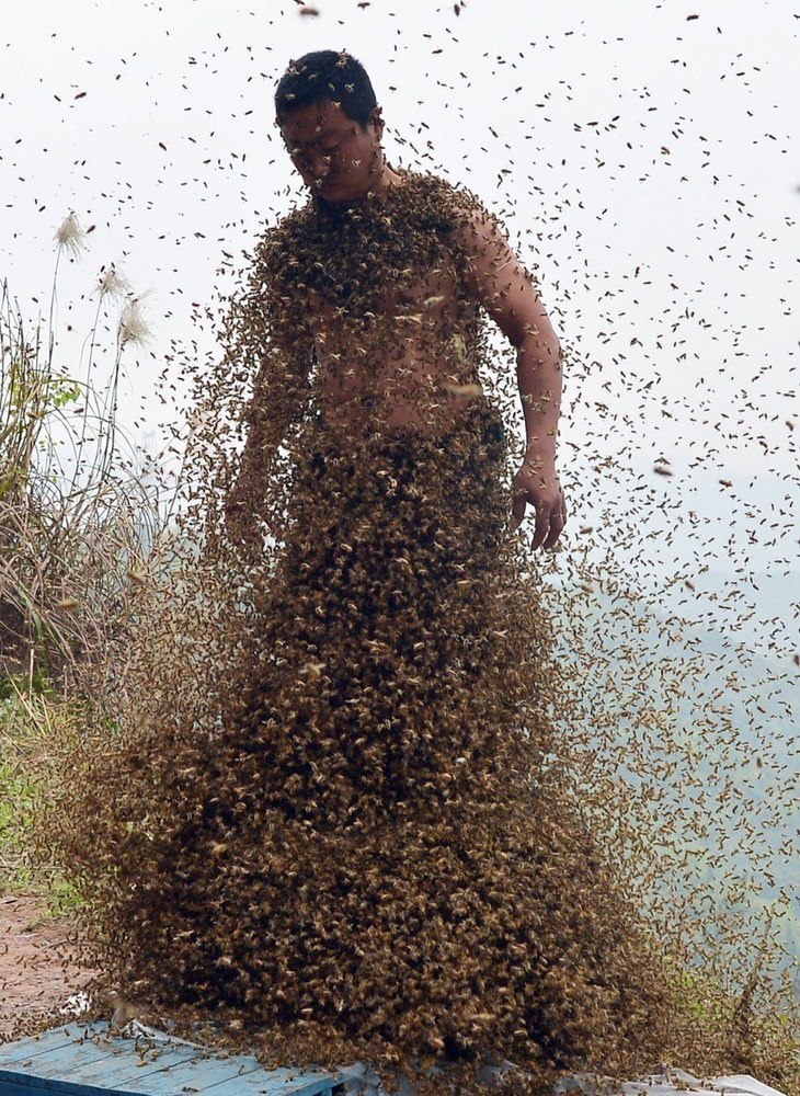 Roj pčela